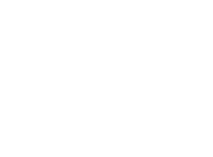 DocShipper Logo